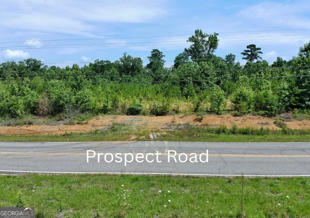 Homes for sale in Nauvoo, AL | 0 Prospect Road, Nauvoo, AL 35578 | MLS# 10776306