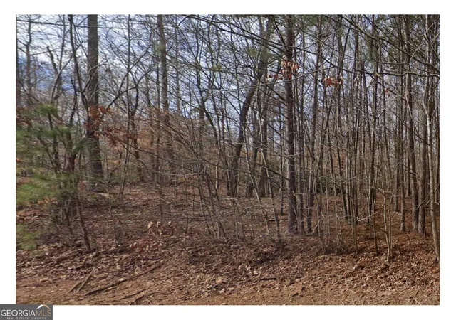 Photo 3 of Land for sale at 3281 Laura Ln, Douglasville, GA 30135 | MLS# 10715871 | Listing updated on 2026-05-01