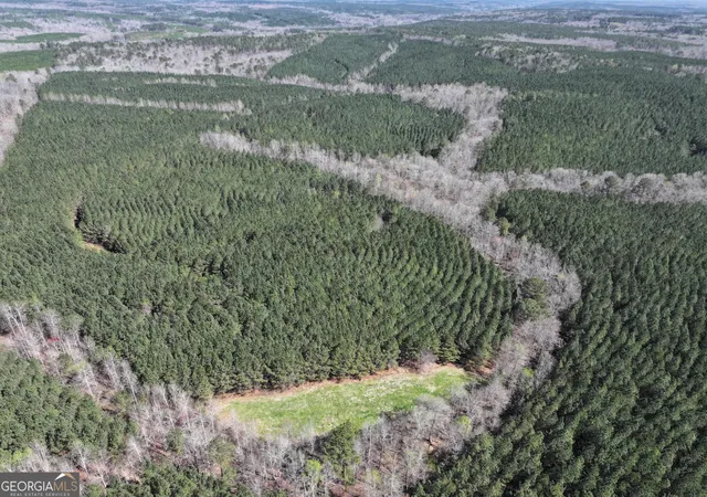 Photo 1 of Land for sale at 257 +/ Acres On Ridgeway Rd, Franklin, GA 30217 | MLS# 10769076 | Listing updated on 2026-06-09