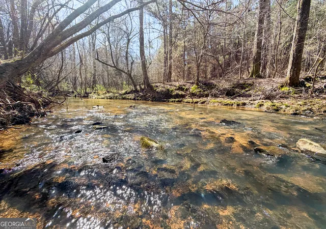 Photo 2 of House for sale at 257 +/ Acres On Ridgeway Rd, Franklin, GA 30217 | MLS# 10769076 | Listing updated on 2026-06-09