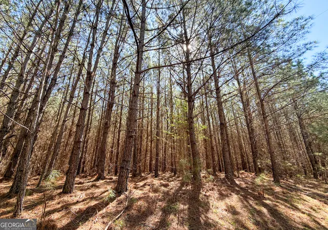 Photo 4 of House for sale at 257 +/ Acres On Ridgeway Rd, Franklin, GA 30217 | MLS# 10769076 | Listing updated on 2026-06-09
