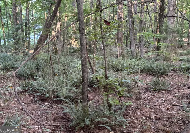 Photo 4 of Land for sale at 0 Lake Hampton Dr, Hampton, GA 30228 | MLS# 10809534 | Listing updated on 2026-09-21