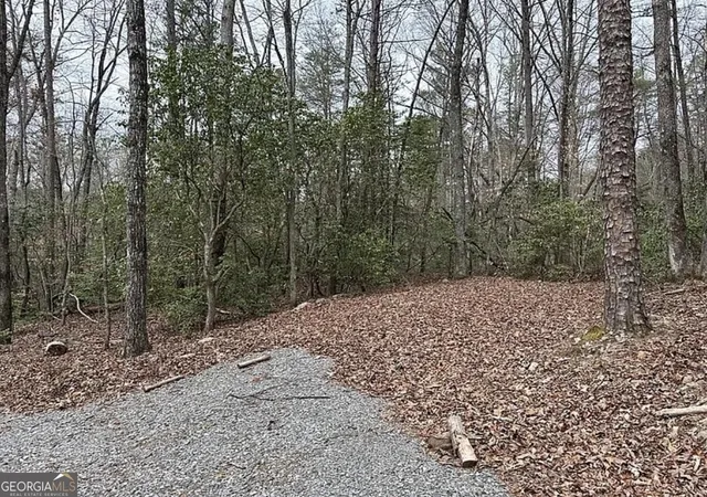 Photo 1 of Land for sale at 0 Roy Rd, Ellijay, GA 30536 | MLS# 10879615 | Listing updated on 2026-10-30