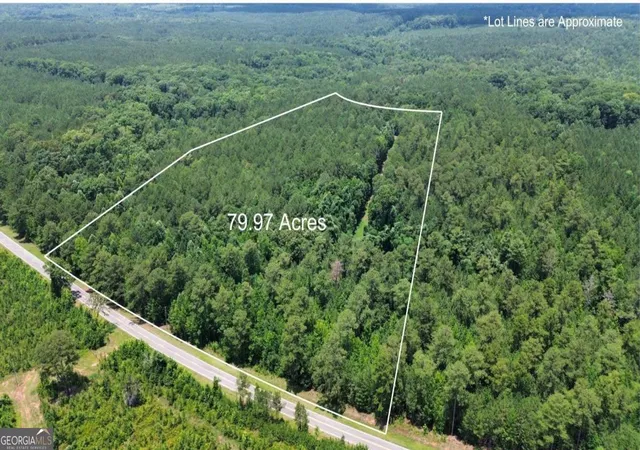 2nd image of 000 Springfield / Turner Rd, Union Point, GA 30669 | MLS# 10799504