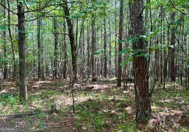 34th image of 000 Springfield / Turner Rd, Union Point, GA 30669 | MLS# 10799504