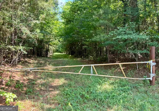 3rd image of 000 Springfield / Turner Rd, Union Point, GA 30669 | MLS# 10799504