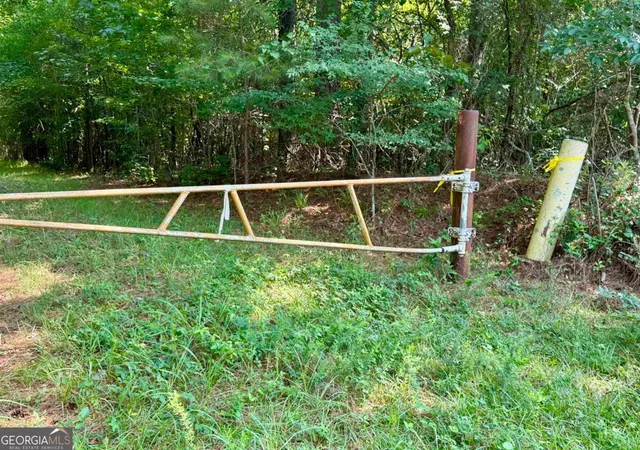 4th image of 000 Springfield / Turner Rd, Union Point, GA 30669 | MLS# 10799504
