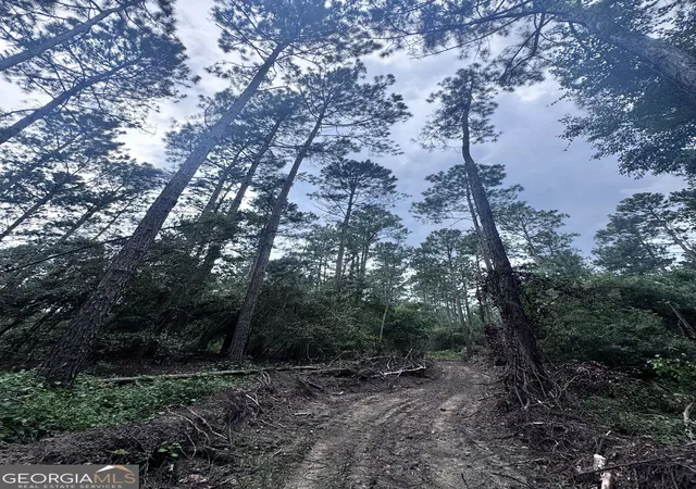 Photo 1 of Land for sale at 00 Cleon Shuman Road, Collins, GA 30421 | MLS# 10835685 | Listing updated on 2026-09-12