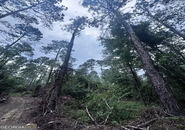 Photo 2 of Land for sale at 00 Cleon Shuman Road, Collins, GA 30421 | MLS# 10835685 | Listing updated on 2026-09-12