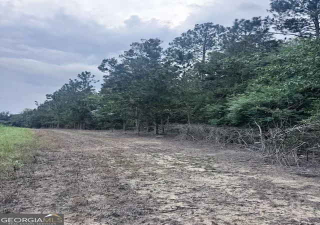 Photo 3 of Land for sale at 00 Cleon Shuman Road, Collins, GA 30421 | MLS# 10835685 | Listing updated on 2026-09-12