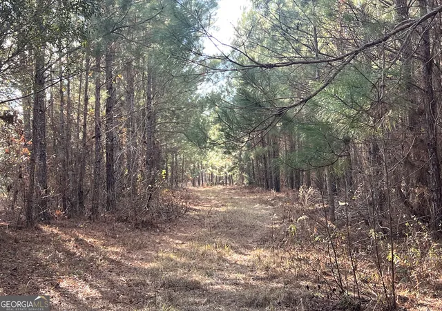 Homes for sale in Millen, GA | 0 Thomas Rd, Millen, GA 30442 | MLS# 10647908