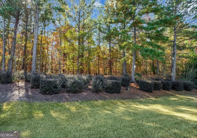35th image of 1081 Spring Station Rd, Greensboro, GA 30642 | MLS# 10809834