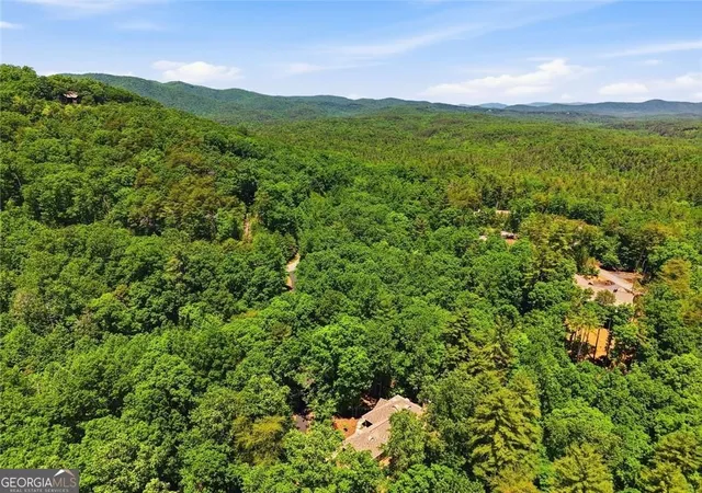 64th image of 1288 Black Bear Trl, Jasper, GA 30143 | MLS# 10769542