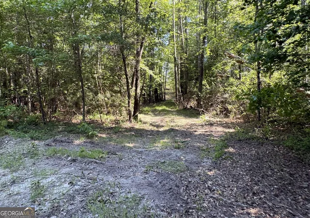1st image of L11 N Indian Trail Rd, Sandersville, GA 31082 | MLS# 10832030