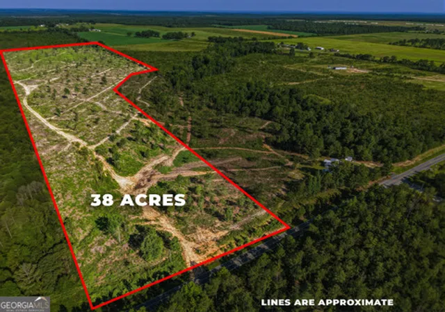 1st image of 38 Acres N Ga Hwy 240 N Connector, Mauk, GA 31058 | MLS# 10811509