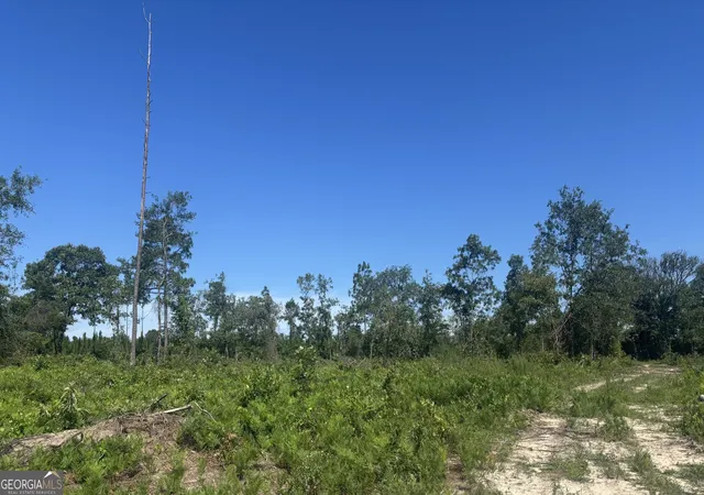 3rd image of 38 Acres N Ga Hwy 240 N Connector, Mauk, GA 31058 | MLS# 10811509