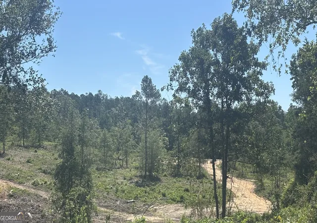 4th image of 38 Acres N Ga Hwy 240 N Connector, Mauk, GA 31058 | MLS# 10811509