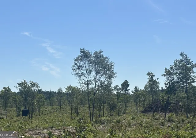 5th image of 38 Acres N Ga Hwy 240 N Connector, Mauk, GA 31058 | MLS# 10811509