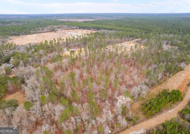5th image of Tract 2 Loggan Ln, Jesup, GA 31546 | MLS# 10691670