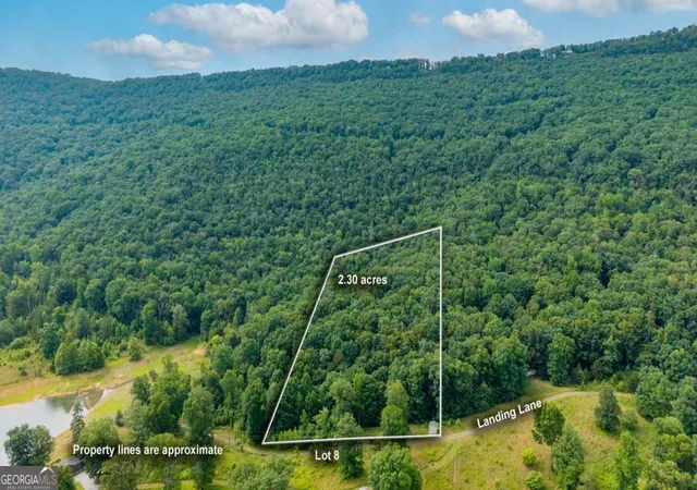 Homes for sale in Rising Fawn, GA | 00 Newsome Gap Rd, Rising Fawn, GA 30738 | MLS# 10784096