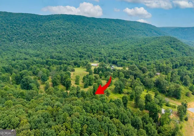 Homes for sale in Rising Fawn, GA | 00 Newsome Gap Rd, Rising Fawn, GA 30738 | MLS# 10784096