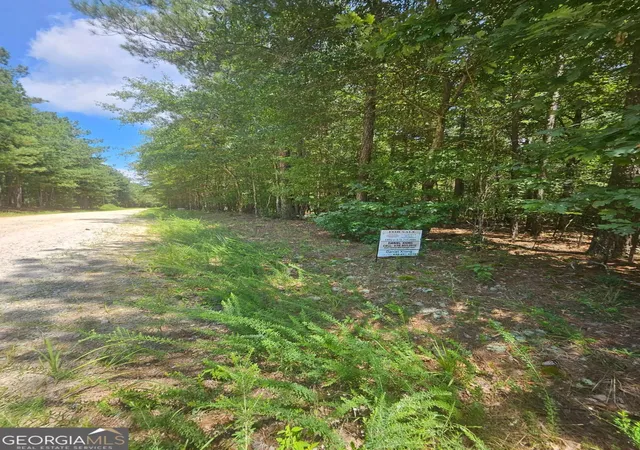 Photo 1 of Land for sale at 292 Mccannon Rd Tract 3 #TRACT 3, Carlton, GA 30627 | MLS# 10813222 | Listing updated on 2026-09-08