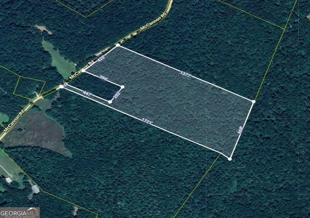 Photo 22 of Land for sale at 292 Mccannon Rd Tract 3 #TRACT 3, Carlton, GA 30627 | MLS# 10813222 | Listing updated on 2026-09-08