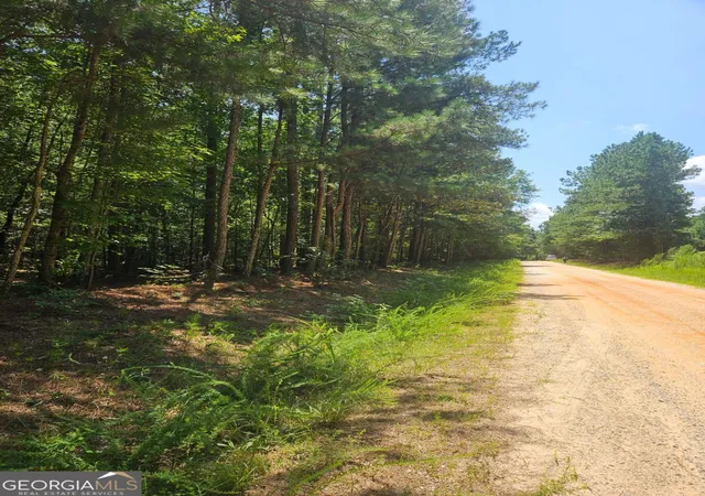 Photo 2 of Land for sale at 292 Mccannon Rd Tract 3 #TRACT 3, Carlton, GA 30627 | MLS# 10813222 | Listing updated on 2026-09-08