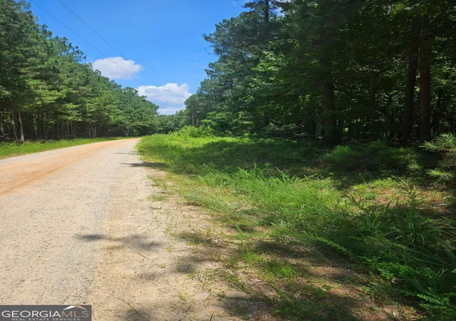 Photo 2 of Land for sale at 292 Mccannon Rd Tract 3 #TRACT 3, Carlton, GA 30627 | MLS# 10813222 | Listing updated on 2026-09-08