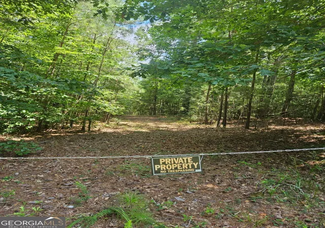 Photo 3 of Land for sale at 292 Mccannon Rd Tract 3 #TRACT 3, Carlton, GA 30627 | MLS# 10813222 | Listing updated on 2026-09-08