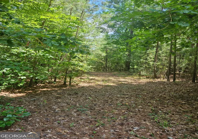Photo 4 of Land for sale at 292 Mccannon Rd Tract 3 #TRACT 3, Carlton, GA 30627 | MLS# 10813222 | Listing updated on 2026-09-08