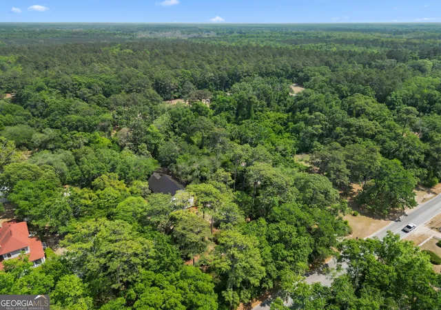 41st image of 674 Dunlevie Rd, Allenhurst, GA 31301 | MLS# 10740791