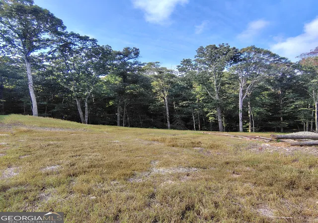Land for sale at 245 Brad St, Royston, GA 30662 | MLS# 10831891