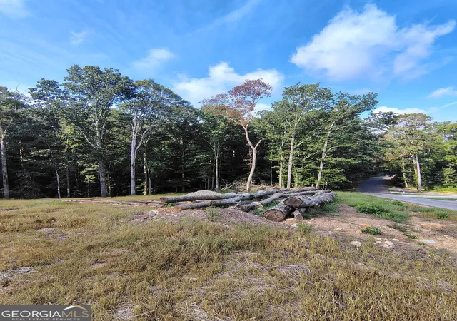 Photo 4 of Land for sale at 245 Brad St, Royston, GA 30662 | MLS# 10831891 | Listing updated on 2026-09-23