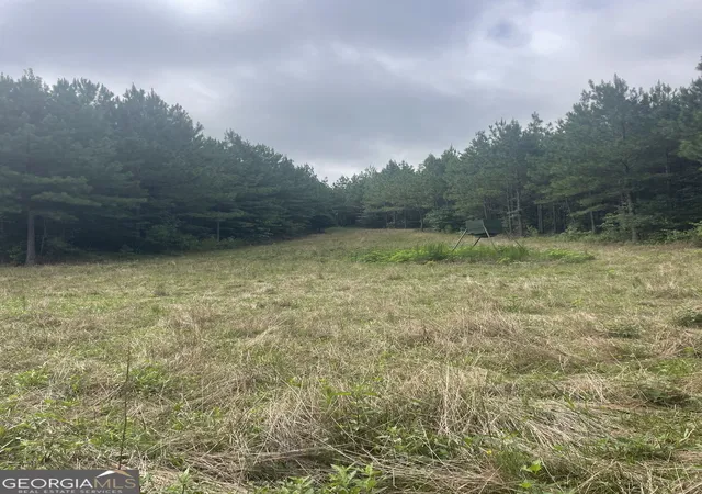 4th image of 0 Graham Rd Graham Rd, Hogansville, GA 30230 | MLS# 10813082