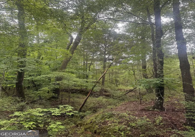 Photo 1 of Land for sale at 0001 Sandy Cross Rd, Crawfordville, GA 30631 | MLS# 10833573 | Listing updated on 2026-09-10