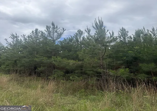 Photo 2 of Land for sale at 0001 Sandy Cross Rd, Crawfordville, GA 30631 | MLS# 10833573 | Listing updated on 2026-09-10