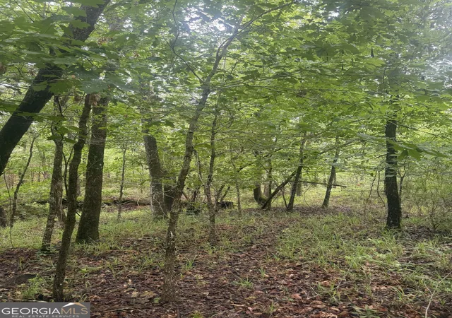 Photo 3 of Land for sale at 0001 Sandy Cross Rd, Crawfordville, GA 30631 | MLS# 10833573 | Listing updated on 2026-09-10