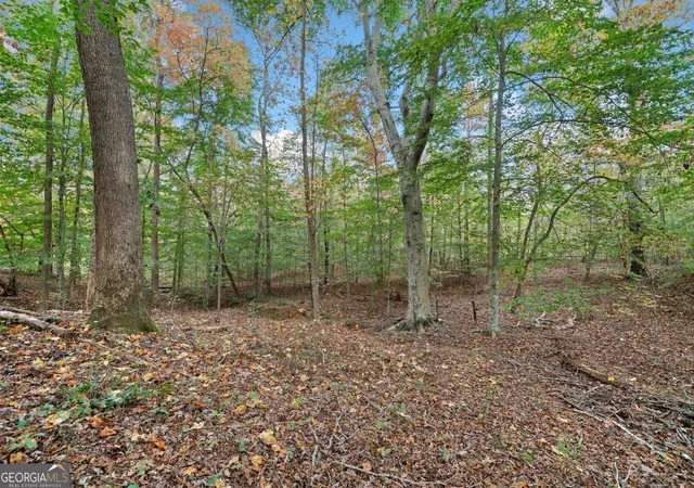 1st image of 000 Ammons Dr, Waleska, GA 30183 | MLS# 10808623
