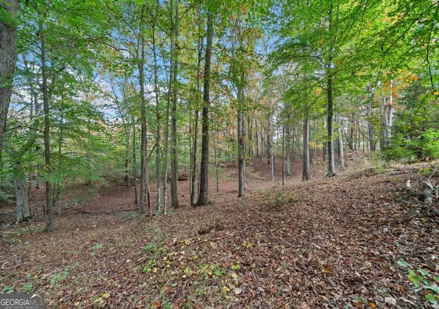 2nd image of 000 Ammons Dr, Waleska, GA 30183 | MLS# 10808623