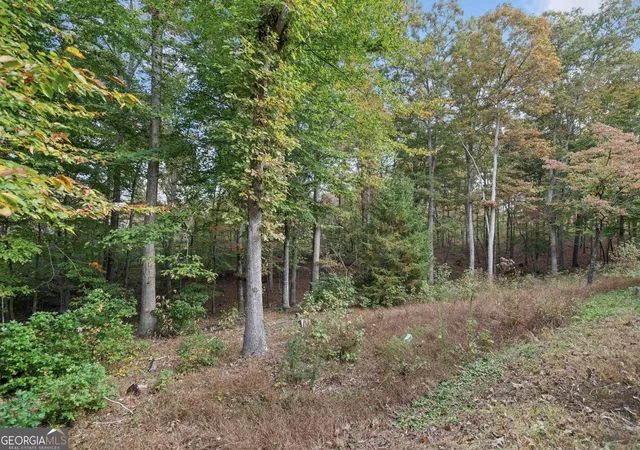 3rd image of 000 Ammons Dr, Waleska, GA 30183 | MLS# 10808623