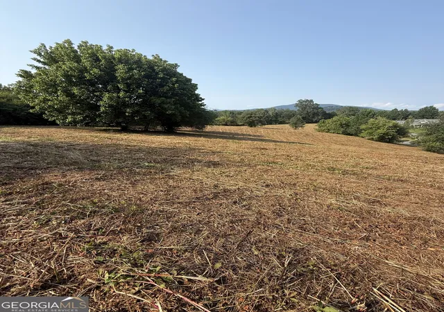 Land for sale at 000 Ridgemont Ln, Ellijay, GA 30536 | MLS# 10835331