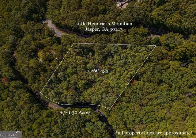 Photo 1 of Land for sale at 0 Little Hendricks Mountain Rd, Jasper, GA 30143 | MLS# 10723910 | Listing updated on 2026-07-25
