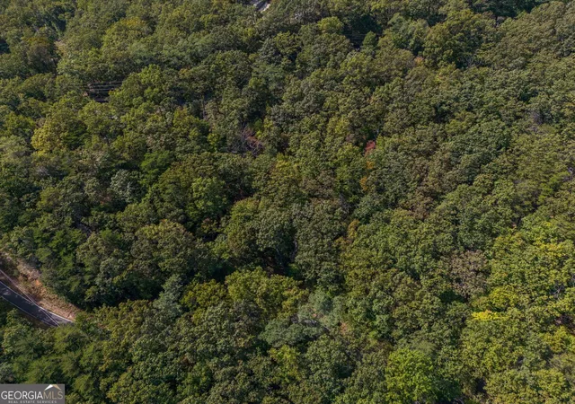 Photo 2 of Land for sale at 0 Little Hendricks Mountain Rd, Jasper, GA 30143 | MLS# 10723910 | Listing updated on 2026-07-25