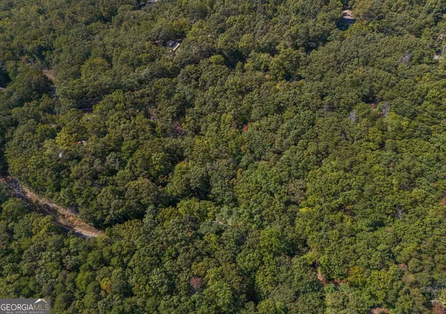 Photo 3 of Land for sale at 0 Little Hendricks Mountain Rd, Jasper, GA 30143 | MLS# 10723910 | Listing updated on 2026-07-25
