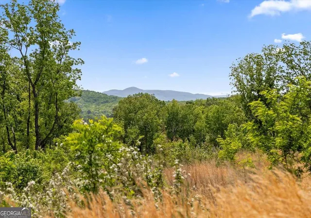 Photo 1 of Land for sale at Lot 237 Highgrove Dr, Talking Rock, GA 30175 | MLS# 10763052 | Listing updated on 2026-05-26