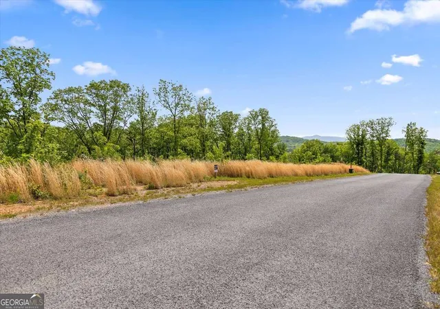 Photo 3 of Land for sale at Lot 237 Highgrove Dr, Talking Rock, GA 30175 | MLS# 10763052 | Listing updated on 2026-05-26