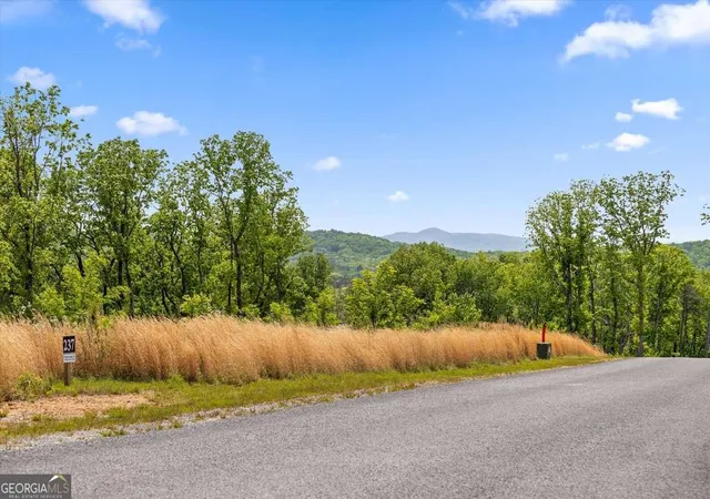 Photo 4 of Land for sale at Lot 237 Highgrove Dr, Talking Rock, GA 30175 | MLS# 10763052 | Listing updated on 2026-05-26