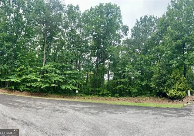 Homes for sale in Ellijay, GA | 0 Highpointe Trail #194, Ellijay, GA 30536 | MLS# 10781440