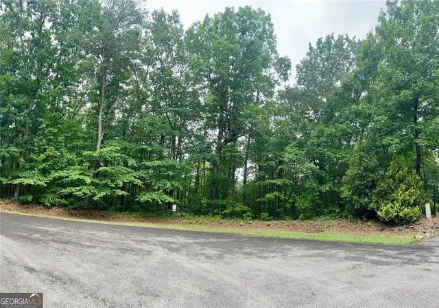 Homes for sale in Ellijay, GA | 0 Highpointe Trail #194, Ellijay, GA 30536 | MLS# 10781440